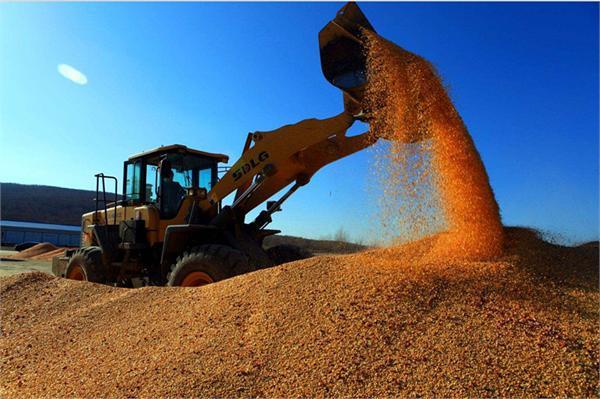 大豆之死2：中、美大豆戰爭，企業虧損百億，如何挽救敗局？