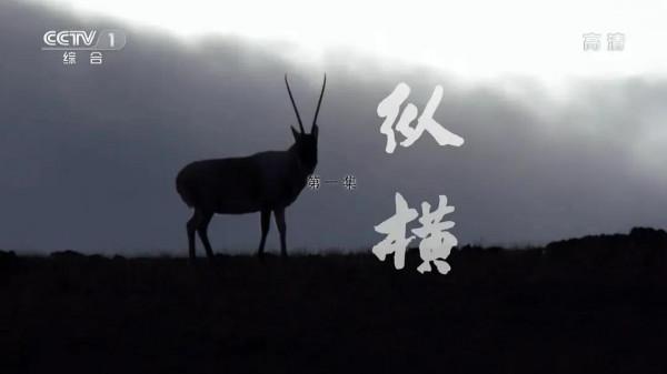 美哉，中華&mdash;&mdash;五部瞭解中國大好河山的經典紀錄片