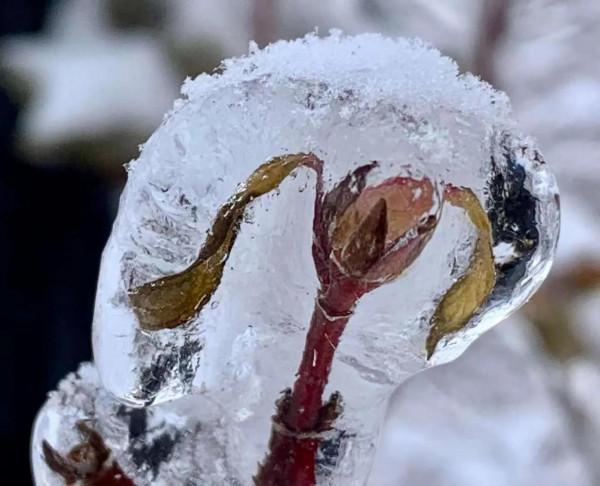 最賦有想向力的“藝術品” 最賦有想向力的“藝術品”