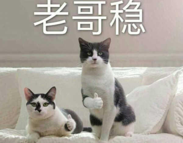 時尚先生紅毯女星搶鏡：有人穿成火龍果，還有人髮型撞款潘長江