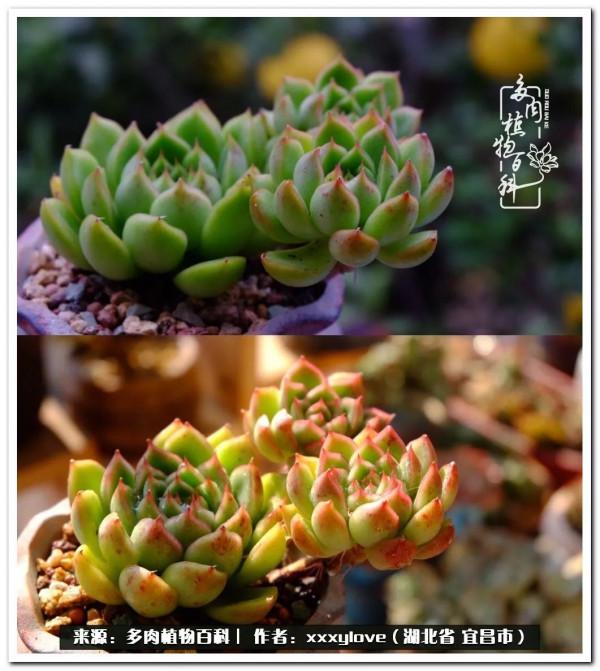 時光匆匆，一閃而逝，這世間萬物的美，都值得被記錄