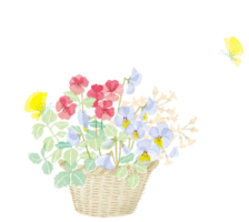 你在哪天出生，就是哪朵花，美到極致