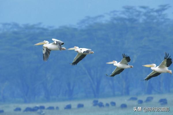 那庫魯保護區,成全你的瀟灑與冒險 那庫魯保護區,成全你的瀟灑與冒險