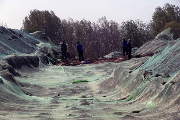 先進的勘探儀不如一把洛陽鏟,下墓考古必備,洛陽鏟為何如此厲害 先進的勘探儀不如一把洛陽鏟,下墓考古必備,洛陽鏟為何如此厲害