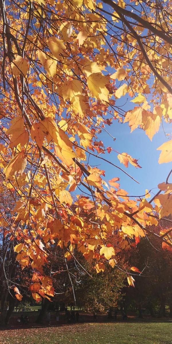 帶你遊溫哥華的小眾景點