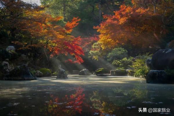 馬牧青 &vert; 出入境遊的消失和國內遊的尷尬