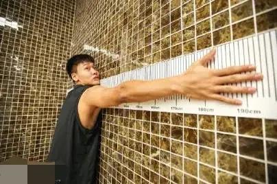 阿聯體測順利，廣東將士出征諸暨，球迷夾道相送，CBA賽程指引