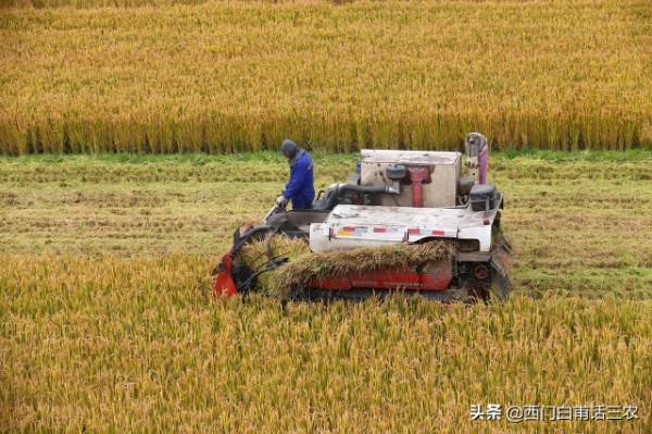 農村承包地宅基地有償退出要具備三個條件,農民朋友快來了解 農村承包地宅基地有償退出要具備三個條件,農民朋友快來了解