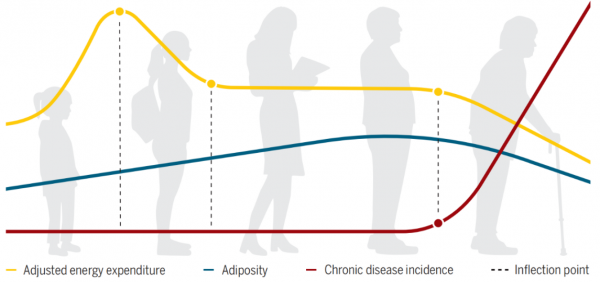 如何逃過“中年肥胖”？這三點很關鍵