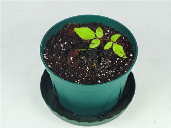 養護別稀裡糊塗，弄清楚這4點基礎知識，很重要