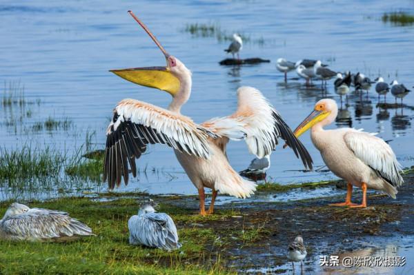 那庫魯保護區,成全你的瀟灑與冒險 那庫魯保護區,成全你的瀟灑與冒險