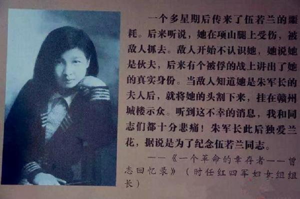 08年,朱德後人到耒陽尋人,見到伍天曉:沒有你姑媽,就沒有朱德 08年,朱德後人到耒陽尋人,見到伍天曉:沒有你姑媽,就沒有朱德