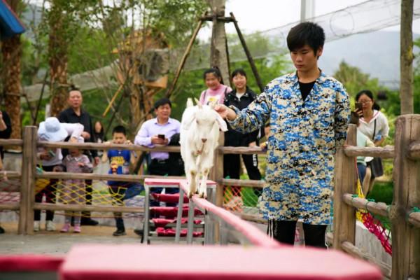 送!送!送!門票不限量免費送!奇幻魔術+神奇乾冰秀+炫酷火焰掌+特色美食!國慶假期來花樂園一起嗨翻天吧!附領票攻略~ 送!送!送!門票不限量免費送!奇幻魔術+神奇乾冰秀+炫酷火焰掌+特色美食!國慶假期來花樂園一起嗨翻天吧!附領票攻略~