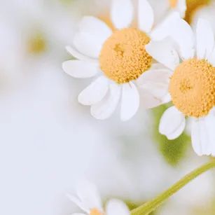 世界上最“寧靜”的20個城市！各有各的詩意