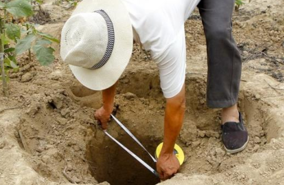 襄陽古墓出土曠世寶劍，劍上刻著10個銘文，令現場專家興奮