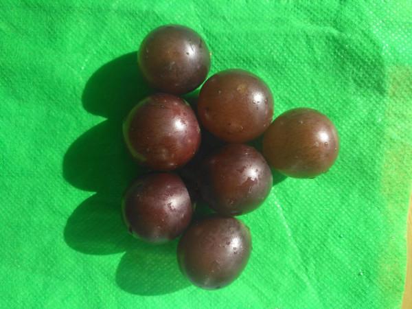 請為你上小學的寶寶保留