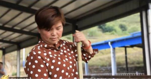 農村婦女彭美竹，養牛10年坐擁1200萬資產，帶領鄉民發家致富