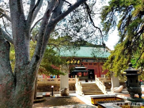 京郊藏了一條絕美國道，承包了京城最美秋色，秋意正濃，如詩如畫