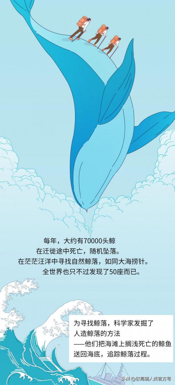 不久前，我目睹了世上最悲壯的死亡