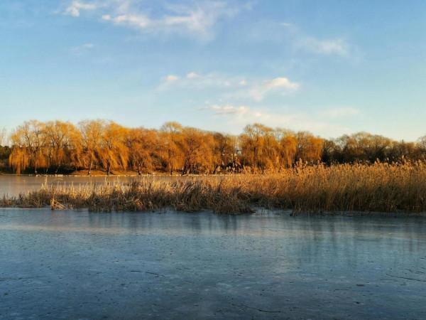 冬季夕陽西下之前的圓明園湖畔