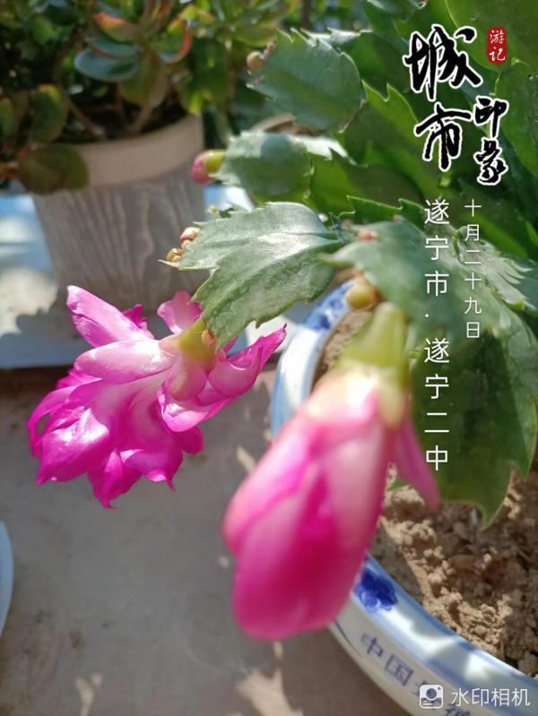 《不了情》——大衛原創詩