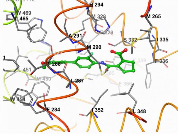 藥物發現&boxv;靶向Farnesoid X受體的藥物開發