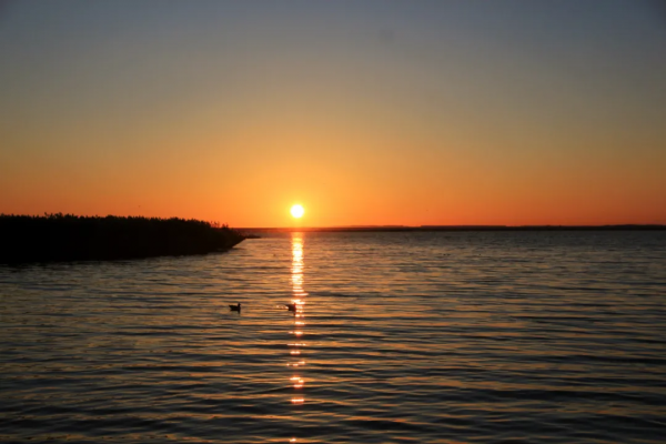 毫無懸念!今年最美的國內秋天,果然還是額濟納 毫無懸念!今年最美的國內秋天,果然還是額濟納