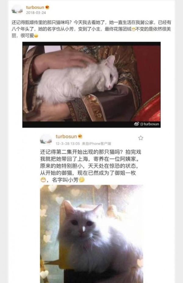 論明星對待動物都多不同，姚守崗炸死軍犬，孫儷卻主動救下老驢