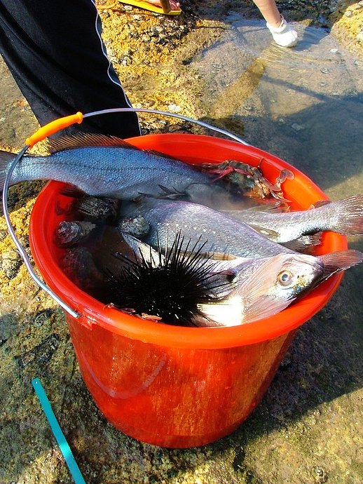 福建古雷：在無人的孤島上露營