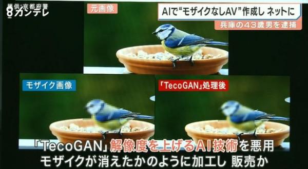 日本一43歲男子因售賣AI去碼影片獲利1100萬日元被捕