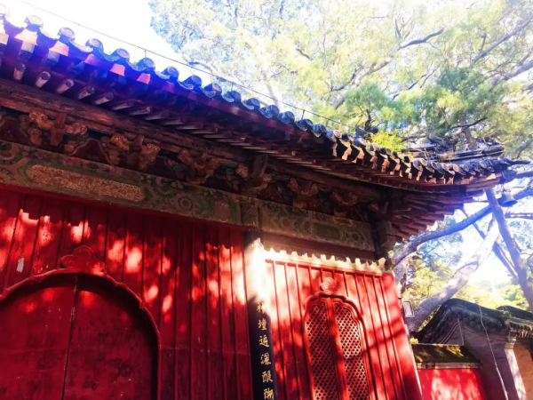 初秋到戒臺寺尋覓禪境，還有佛教最高等級的戒壇可以參觀~