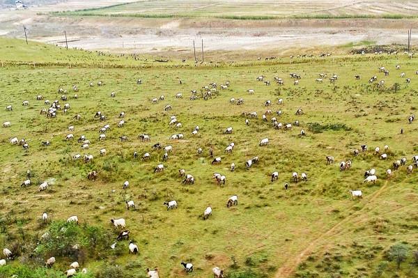 全新標緻4008環青海長測Day1：西寧開始遊記，今天目的地茶卡鎮！