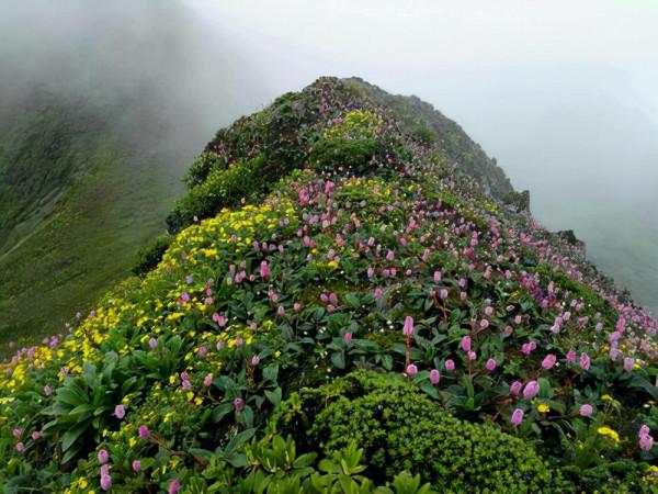 農村什麼最好吃？當然是野味，小時候喜歡的這些野味，已逐漸消失
