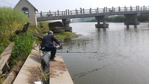 江蘇泰州女婿到老丈人家過節，準備去釣魚，沒想到釣了一桶螃蟹