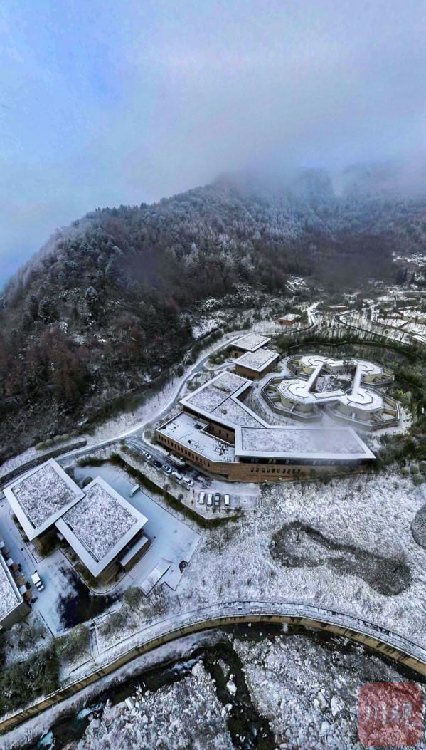 萌翻！大熊貓雪中盡情撒歡