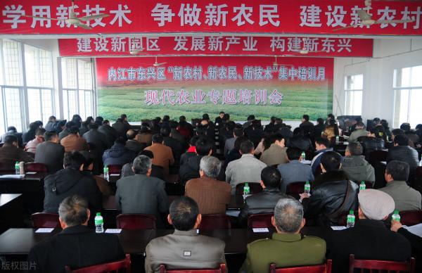 3萬斤蔬菜被銷燬,拍手稱快?不能到此結束,對比日本有兩點要做 3萬斤蔬菜被銷燬,拍手稱快?不能到此結束,對比日本有兩點要做