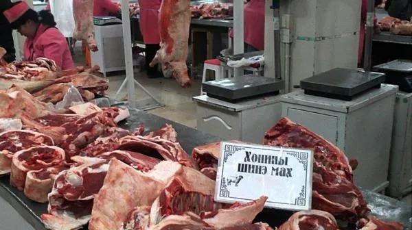 蒙古真實的生活 蒙古真實的生活