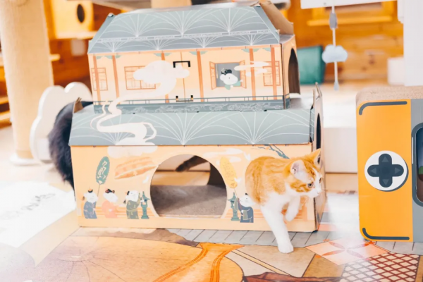 找領養&;新成員 | 你好呀,鏟屎官 找領養&;新成員 | 你好呀,鏟屎官