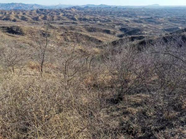 魯家峪的故事(2021－1145)