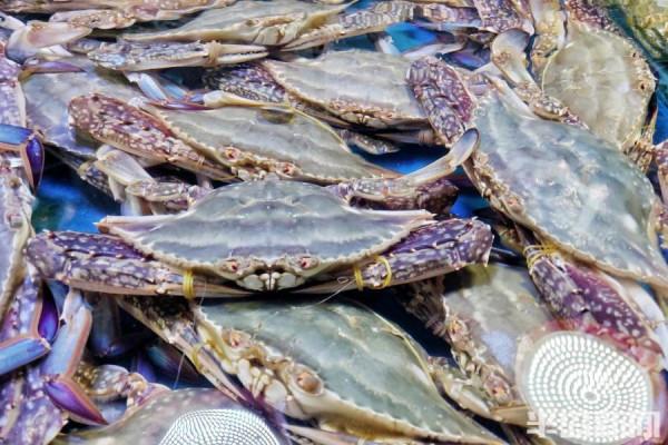 南方蟹入市，價格更親民