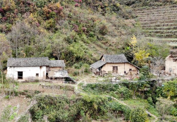 神農架相傳出現驢頭狼,吃農戶養的豬,揭秘:疑是“四不像”鬣羚 神農架相傳出現驢頭狼,吃農戶養的豬,揭秘:疑是“四不像”鬣羚