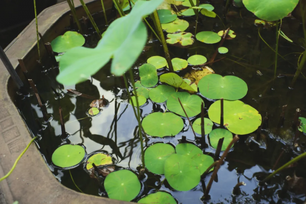 別再說什麼小京都了，寧波這些寺廟來打臉了