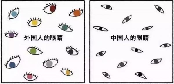 “歪果仁”眼裡的中國VS現實中的中國，漫畫火了央視也忍不住點贊