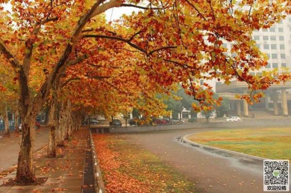 男友被判無期,她執意要等,這其中還藏著另一段銘心刻骨的愛情 男友被判無期,她執意要等,這其中還藏著另一段銘心刻骨的愛情