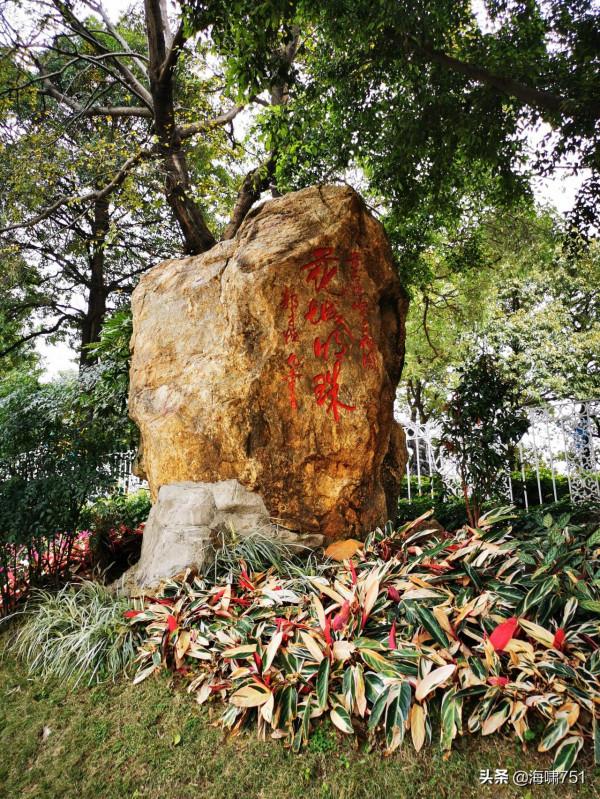 雲臺花園花的海洋