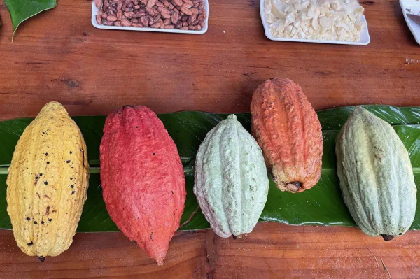 高鐵0.5h、物價只有一半，我願稱她為三亞最強備胎