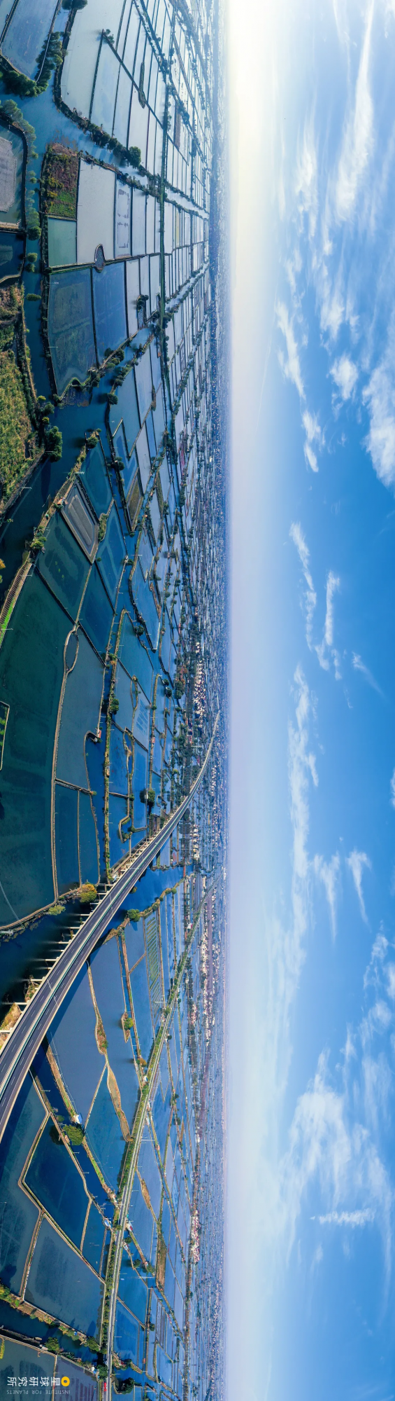 南京高淳,為何值得一去? 南京高淳,為何值得一去?