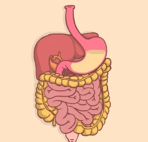 缺乏營養元素的後果太嚴重,脾好才能充足攝入 缺乏營養元素的後果太嚴重,脾好才能充足攝入