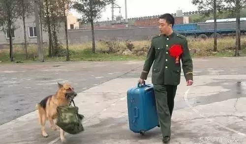 向軍人致敬！中國解放軍照片，一張張看著心碎落淚的照片