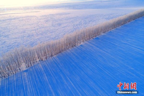 萬物共榮 華夏之美 萬物共榮 華夏之美